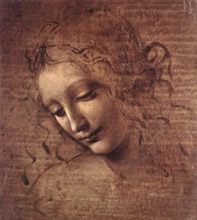 Cuadro a la sepia de Da Vinci.