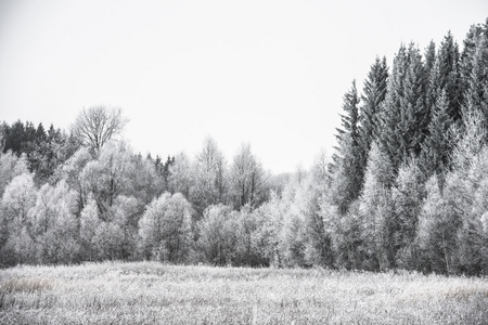  Fotografía de Campo Blanco y Negro