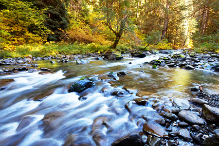 Arroyo del Bosque