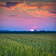 Campiña Sunset